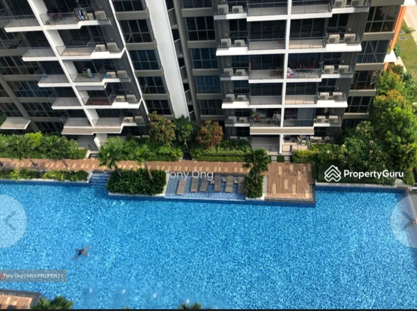 North Park Residences (D27), Apartment #596390201
